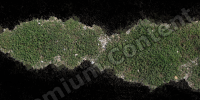 photo texture of grass decal 0002